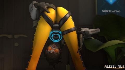 组成了NB 组成了NB