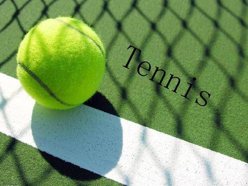 场棋艺的竞 场棋艺的竞