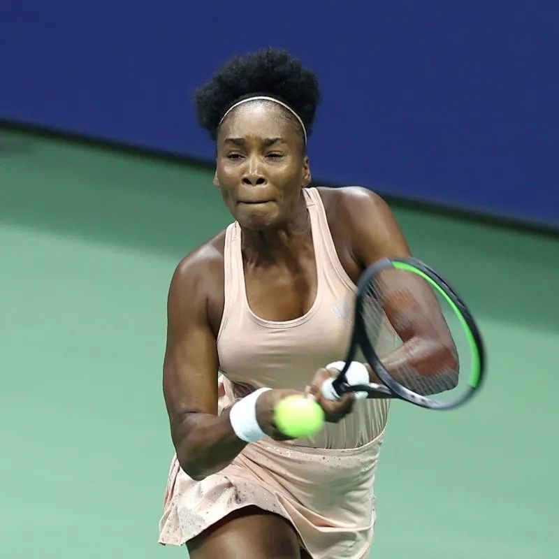 辛纳能否以 辛纳能否以